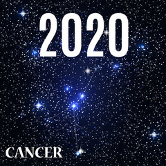 Symbol: Cancer Zodiac Sign with the New Year and Christmas 2020. Vector Illustration.