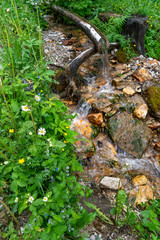Eine Quelle plätschert inmitten von Wildblumen