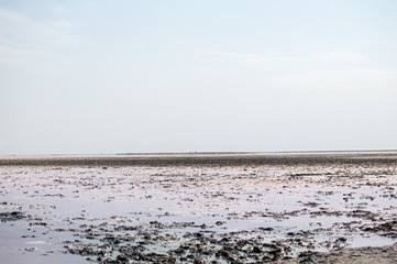 Landscape view on the pink salt Lemurisk lake