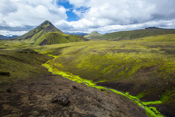Fototapeta premium A mountain, a river, moss and volcanic ash on the trekking of Landmannalaugar, Iceland