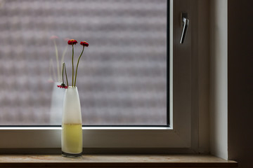 Blumen am Fenster 4
