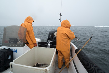 fisherman in the boat for fishing in Ilulissat icefjord, greenland. May 13, 2019 © murattellioglu