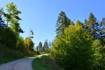 Road to the winter and touristic station Poiana Brasov, 12 km from Brasov, a town situated in...
