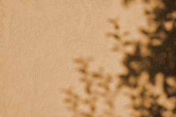 Shadow of leaf trees on yellow wall. Background of natural, outdoors concept. Trendy style