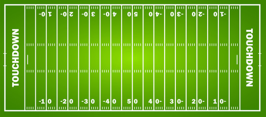 American football field concept with markings. Soccer field in top view. Vector graphics © vectorsanta
