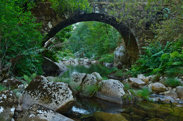 Fototapeta na wymiar Antique arched stone bridge over Gralheira river in Carvalhais, Sao Pedro do Sul, Portugal
