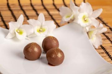 Fototapeta na wymiar Home made chocolate truffles
