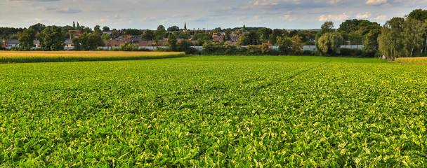 countryscape field and town panorama © Tobias Arhelger