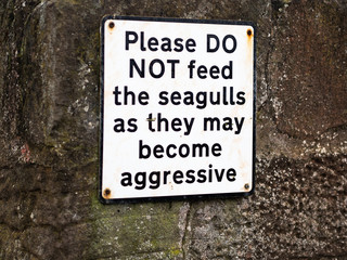 Please do not feed the seagulls