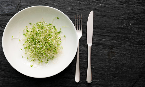 Red Clover Sprouts, Micro Green Healthy Eating Concept
