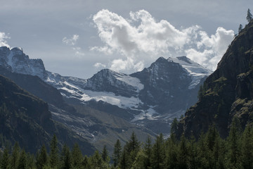 view of alps