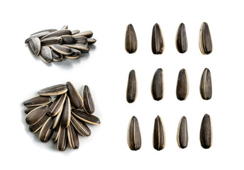 Pile of large striped sunflower seeds with shell isolated