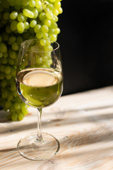 White Wine Glass on Ripe Green Grapes Background in Sunny Day