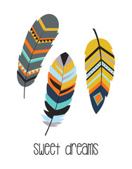 tribal illustration with feathers