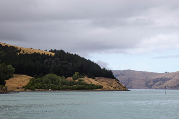 cloudy day at Akaroa harbour, New Zealand