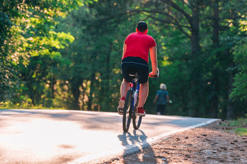 Fototapeta premium Cyclist Riding the Bike through the woods at sunset at Sunset.