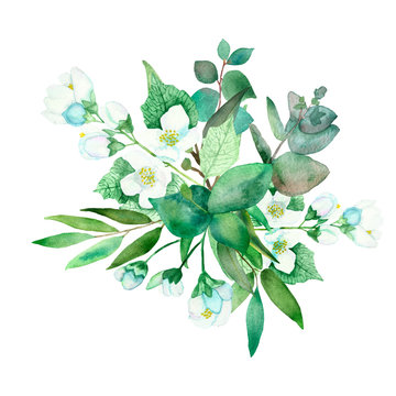 Watercolor hand painted nature flora bouquet with white blossom jasmine flowers and green eucalyptus leaves and branches on the white background for romantic postcards