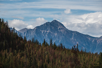 Fototapeta na wymiar Pyramid Mountain, Jasper national park, Alberta, Canada