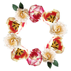 Beautiful floral circle of roses and tulips. Isolated