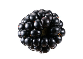 blackberry on a white background