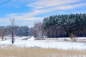 Obraz premium Patterns on the winter highway in the form of four straight lines. Snowy road on the background of snow-covered forest. Winter landscape.