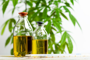 Cannabis oil and marijuana leaves closeup