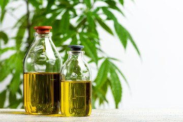 Cannabis oil and marijuana leaves closeup