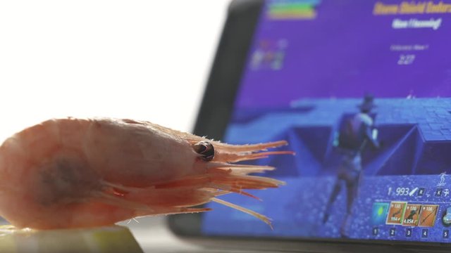 Boiled shrimp gamer watching live video game play stream on mobile phone screen. Smartphone streaming Fortnite online game.