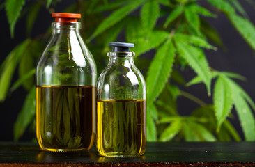 Cannabis oil and marijuana leaves closeup