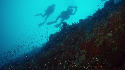 Shot over an intact coral reef with hard corals, soft corals and many tropical fish. Divers watching the scene, Maldives, India Ocean