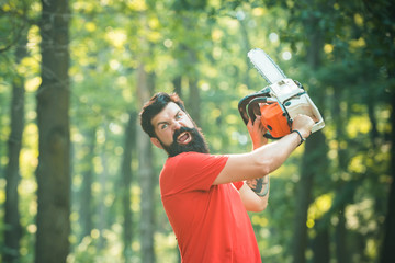 Lumberjack holding the chainsaw. Deforestation is a major cause of land degradation and...