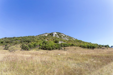 Obraz premium The Pilis mountains at Kesztolc on a summer day.