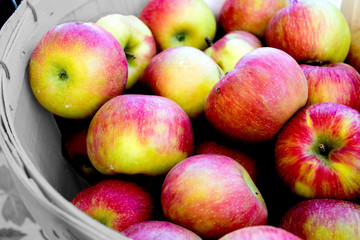 Apple Picking 