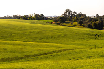 The agricultural production field in fallow 02