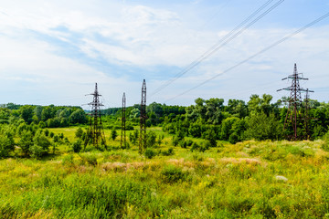 High voltage power line in forest