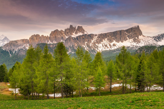Croda da Lago, Dolomites, Belluno, Veneto, Italy