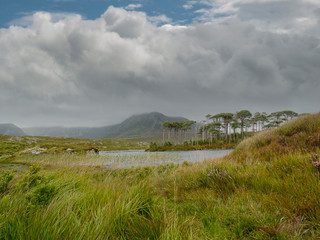 Pine Island, County Galway, Stormy sky over mountains, Green grass fields. Ireland.