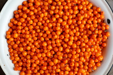 texture of sea buckthorn berries.