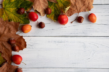 Autumn concept. Maple leaves, nuts and little red apples on an old white wooden table with place...