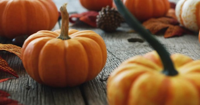Video Slide Across Autumn Fall Pumpkins On Wood