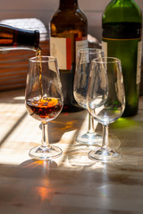 Sherry wine tasting, selection of different jerez fortified wines made from palamino, pedro ximenez and muscat white grapes, El Puerto de Santa Maria, Andalusia, Spain