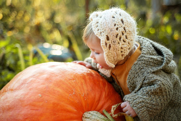laughing adorable baby girl with a pumpkin