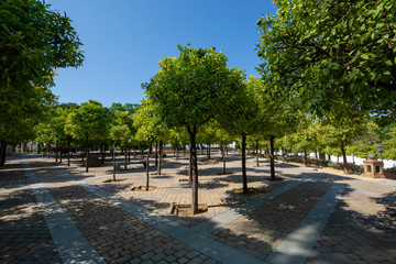 Ancient moorish Andalucian style to create symmetric orange tree gardens, south of Spain