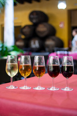 Sherry wine tasting, selection of different jerez fortified wines from dry to very sweet, Jerez de la Frontera, Andalusia, Spain
