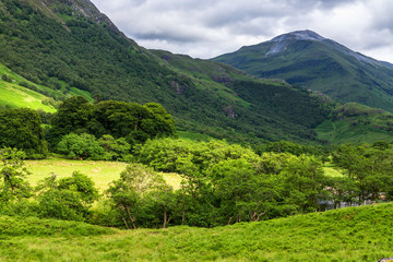 Meadows in Glen Nevis valley, Scotland