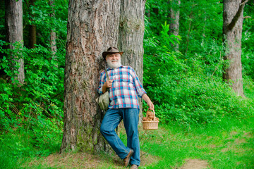 Happy man holding a freshly picked mushroom. Happy man holding a freshly picked mushroom. Man cutting a white mushroom. Grandfather gather mushrooms in the summer forest.