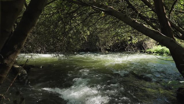 Eau vive en for&ecirc;t