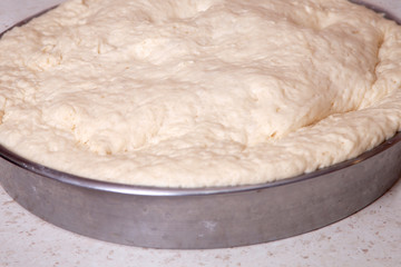 close view of fresh kneaded organic dough