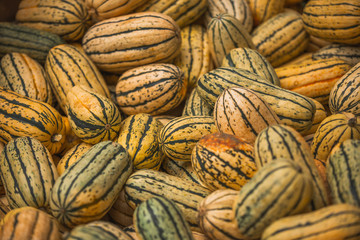 Fresh Pumpkins for sale in market