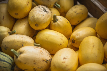 fresh pumpkin at the market